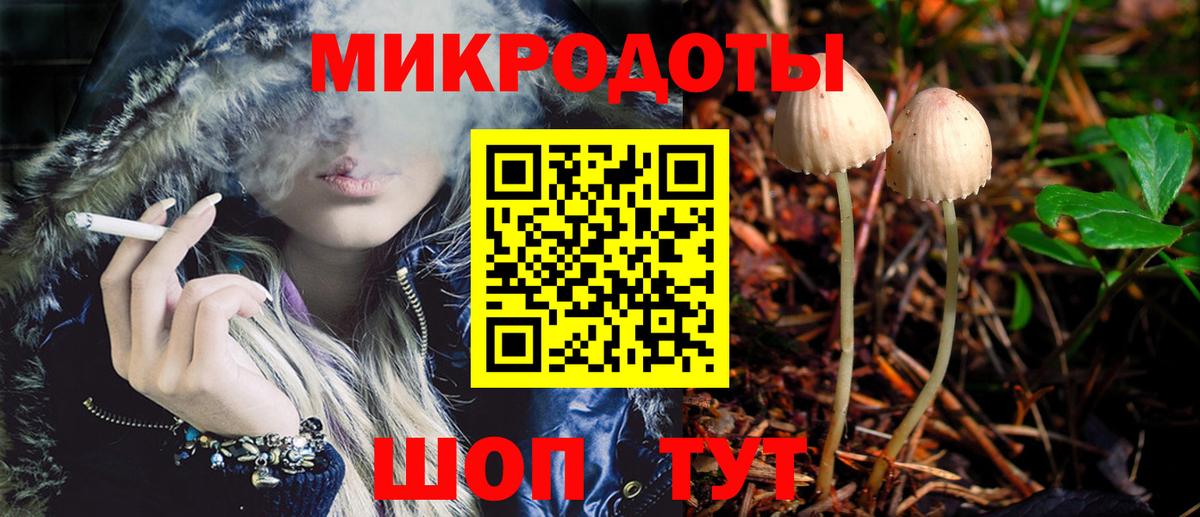 Псилоцибиновые грибы мицелий Большой Камень