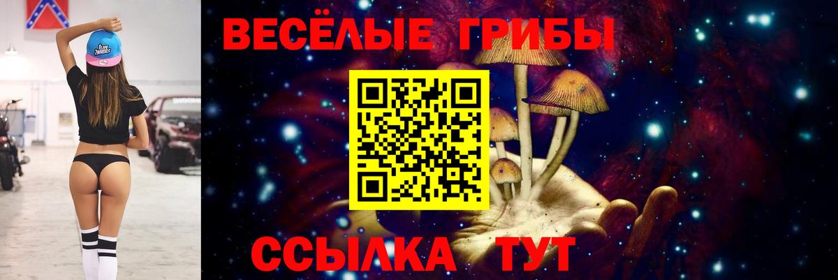 Большой Камень  Псилоцибиновые грибы прущие грибы  Вход с VPN 