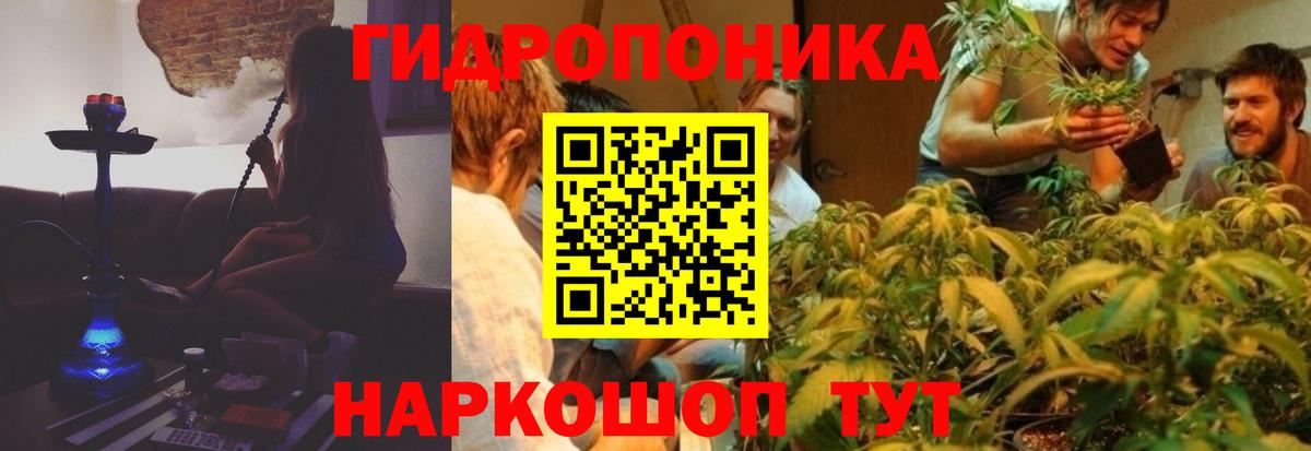 МАРИХУАНА сатива Большой Камень